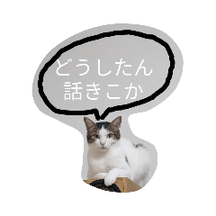 寝るネコスタンプ