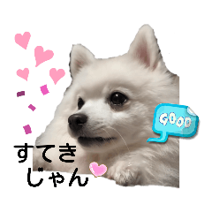 レーベンっ子のおしゃべり3