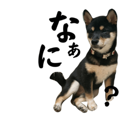 くぅちゃんオリジナルスタンプ3