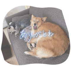 はならなあねくれスタンプ