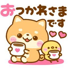 動く♡豆柴日和