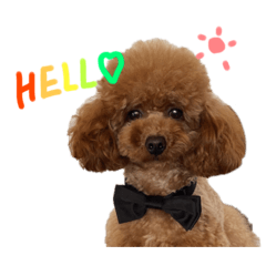 プティくんのかわちいスタンプ