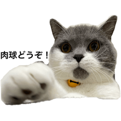 まるお.まるこ まんまる