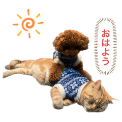 ちくわとがんもの会話➕なぎ君