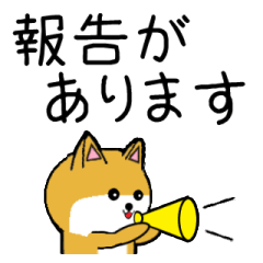 豆いぬ3 でか文字