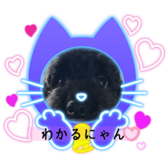 ごえもんワンコ　再販だわんわん