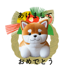 ほっこり柴犬♡【１年中使えるイベント用】