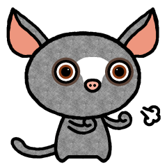 ショウガラゴのしょう助