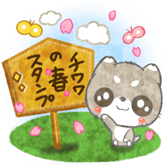 優しいチワワ☆春を感じる敬語のスタンプ