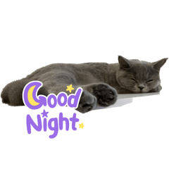 ブリティッシュ むーんちゃん