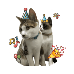 トミー&モカの日常2