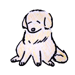 優しいゴールデンさん