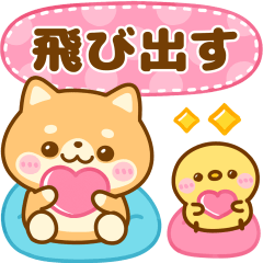 飛び出す♡毎日連絡♡豆柴日和