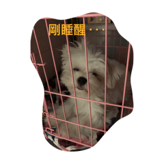 Jenny_20240623222810