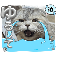 猫のスタンプ marron 9