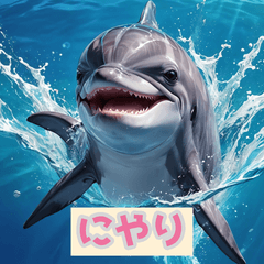 かわいすぎるイルカたち