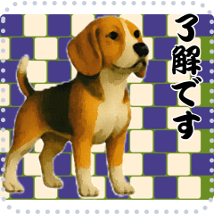犬の メッセージ スタンプ 97