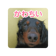 オラフ&プーチン