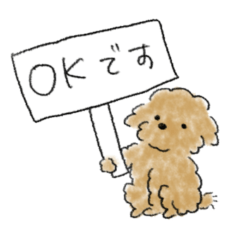 かわいい茶色いプードル