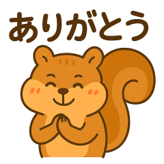 日常会話のリス