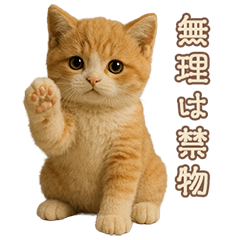 もふもふ茶白猫の気づかいスタンプ