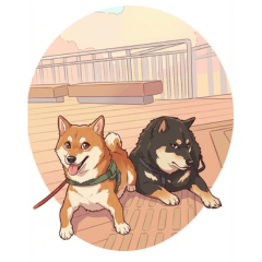 DogeBros3