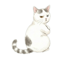 ねこというひと