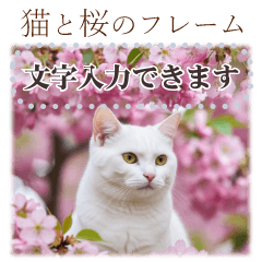 書き込める❤猫と桜のフレーム