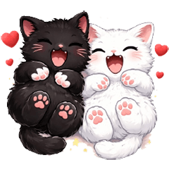 Cute black and white twin cats