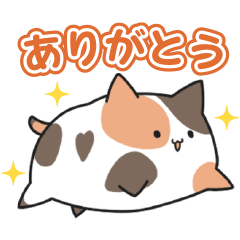 D4DJ Groovy Mix にょちおがいっぱい