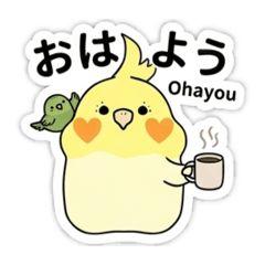 インコのしもべ②