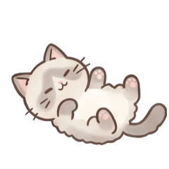 日常 - 妖精猫 A1