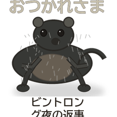 ビントロング夜の返事