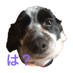 小枝スタンプPart1