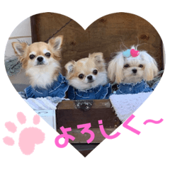 チロみるくるスタンプ。