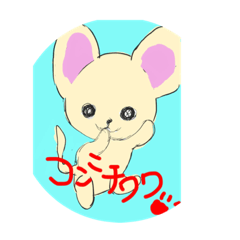 こんにチワワの100%