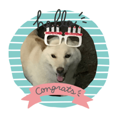 メロ子と子どもたち