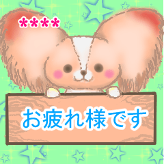 パピヨンの部屋