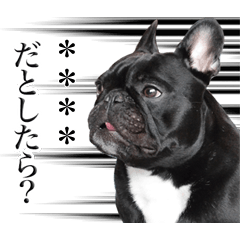 Frenchbulldog Coco Custom