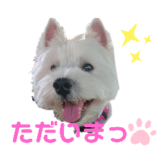 フロレベすたんぷ６