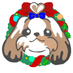 シーズーくうちゃん02