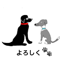 モモとバロンと仲間たち