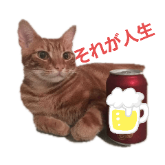 マサキさんちのネコ