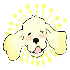 アメリカンコッカースパニエル