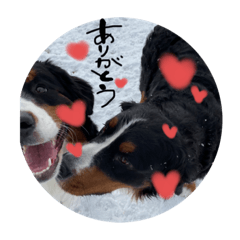 ゆずれもん姉妹の日常