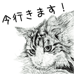 Cats & Dogs 2 - 山田貴裕 - セリフ付き