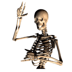 正直者の骸骨！飾る言葉なんていらない！