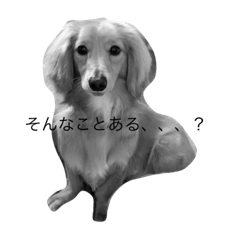 ルアン2～番外編～