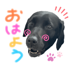 ラブリーおーちゃん❤️