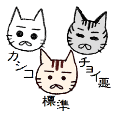 カシコ・標準・チョイ悪　ニャンコ